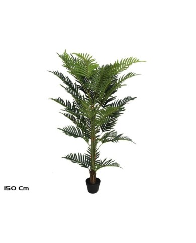 PLANTA PALMERA ARECA X 36 - 150 CM