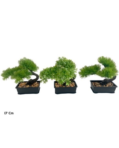 BONSAI MACETERO 18 X 14 X 17 CM (S)
