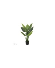 PLANTA MONSTERA X 8 - 60 CM