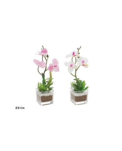 MACETA VIDRIO ORQU DEA - 23 CM (S)