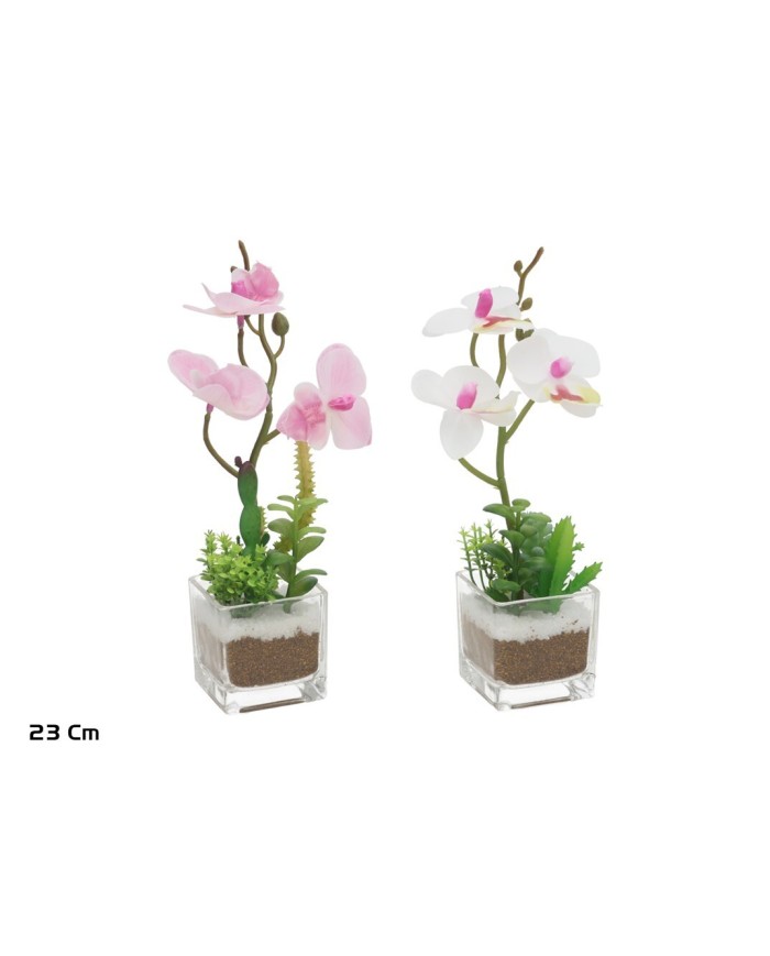 MACETA VIDRIO ORQU DEA - 23 CM (S)