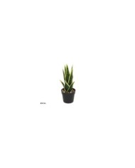 MACETA PLASTICO HERBS SET MOD.1A - 19 CM