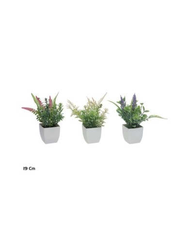 MACETA PLASTICO HERBS SET MOD.1A - 19 CM