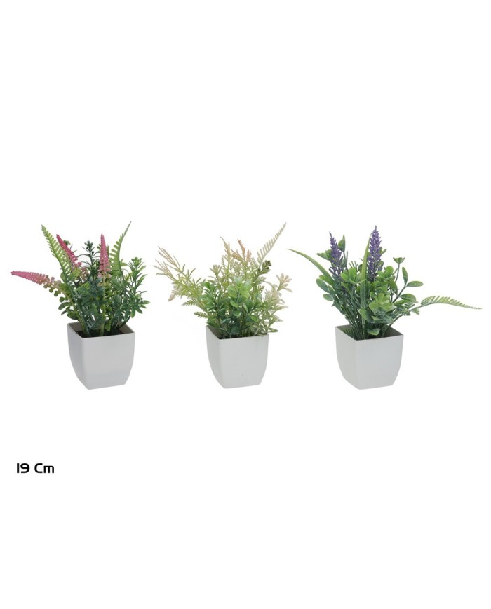 MACETA PLASTICO HERBS SET MOD.1A - 19 CM
