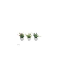 MACETA PLASTICO HERBS SET MOD.1A - 19 CM