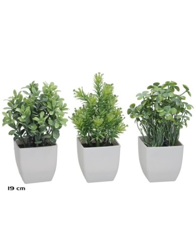 MACETA PLASTICO HERBS SET MOD.5 - 19 CM