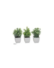MACETA PLASTICO HERBS SET MOD.1A - 19 CM
