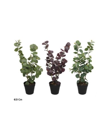 MACETA EUCALIPTO - 63 CM (S)