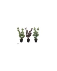 MACETA CEMENTO HERBS - 24 CM (S)