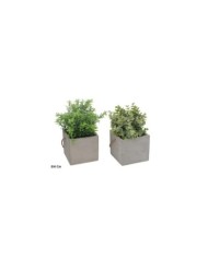 MACETA CEMENTO HERBS - 24 CM (S)