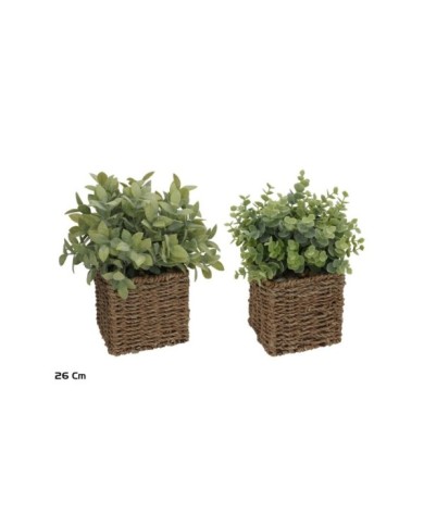 MACETA ALGAS HERBS 26 CM (S)