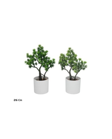 MACETA ARBOL CEDAR - 26 CM (S)