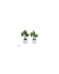 MACETA ARBOL CEDAR - 26 CM (S)