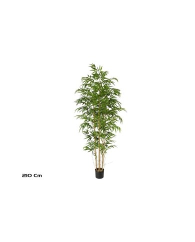 ARBOL BAMBU T/N X 7- 210 CM