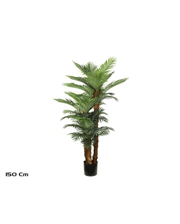PLANTA PALMERA PHOENIX T/C X 3 -150 CM