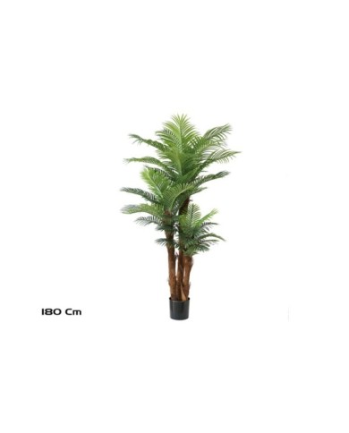 PLANTA PALMERA PHOENIX T/C X 3 -180 CM
