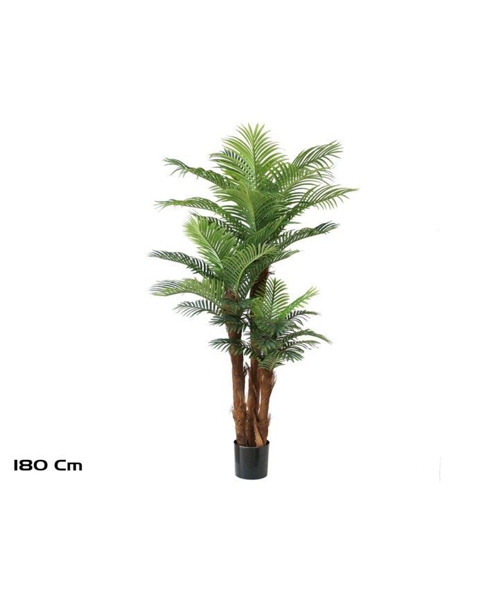 PLANTA PALMERA PHOENIX T/C X 3 -180 CM