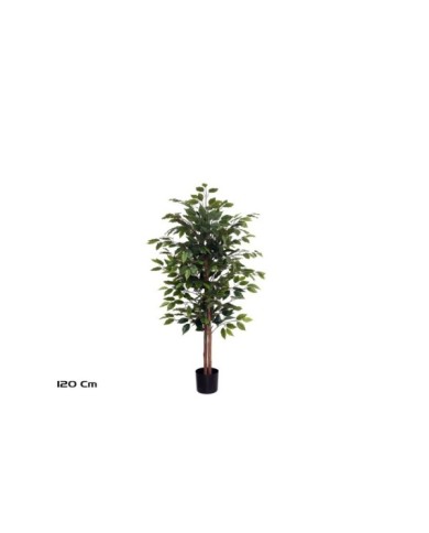 ARBOL FICUS T/NATURAL -120 CM