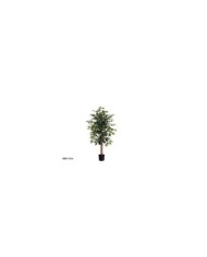 PLANTA PALMERA PHOENIX T/C X 3 -180 CM