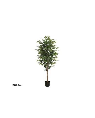 ARBOL FICUS T/NATURAL -150 CM