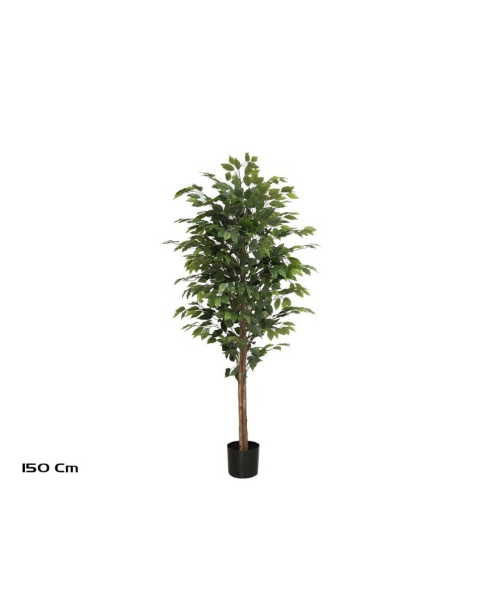 ARBOL FICUS T/NATURAL -150 CM