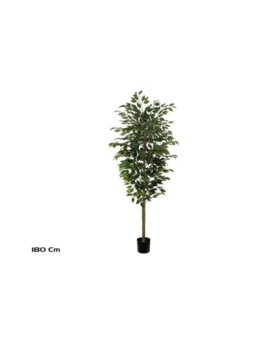 ARBOL FICUS T/NATURAL -180 CM