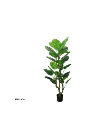 PLANTA POTUS EXOTIC X 26 150 CM