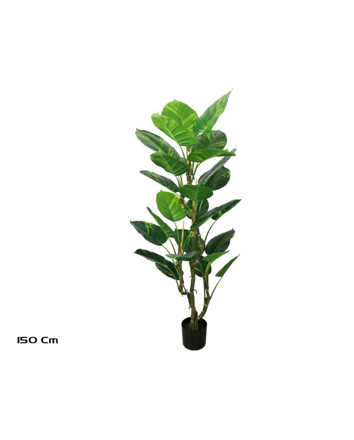 PLANTA POTUS EXOTIC X 26 150 CM