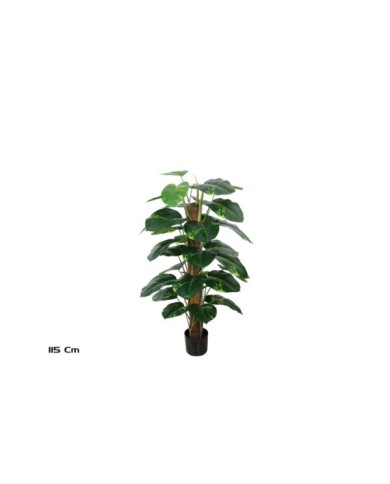 PLANTA POTUS X 33 T/ COCO 115 CM