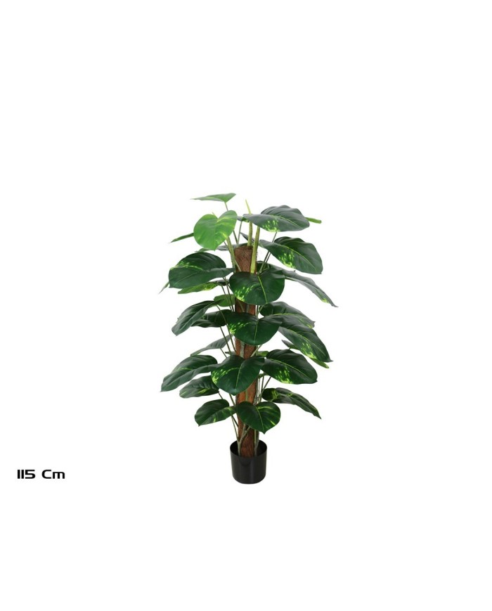 PLANTA POTUS X 33 T/ COCO 115 CM