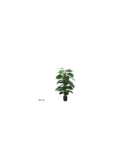 PLANTA POTUS X 33 T/ COCO 115 CM