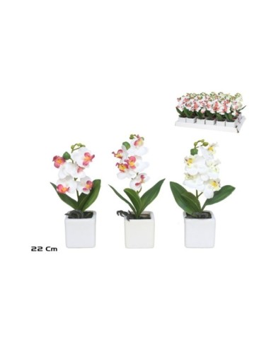 MACETA ORQUIDEAS X 5 R/TOUCH-22 CM (S)