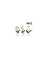 MACETA (B) ORQUIDEAS X 6  R/T-48 CM (S)