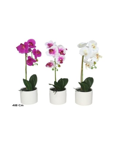 MACETA (B) ORQUIDEAS X 6  R/T-48 CM (S)