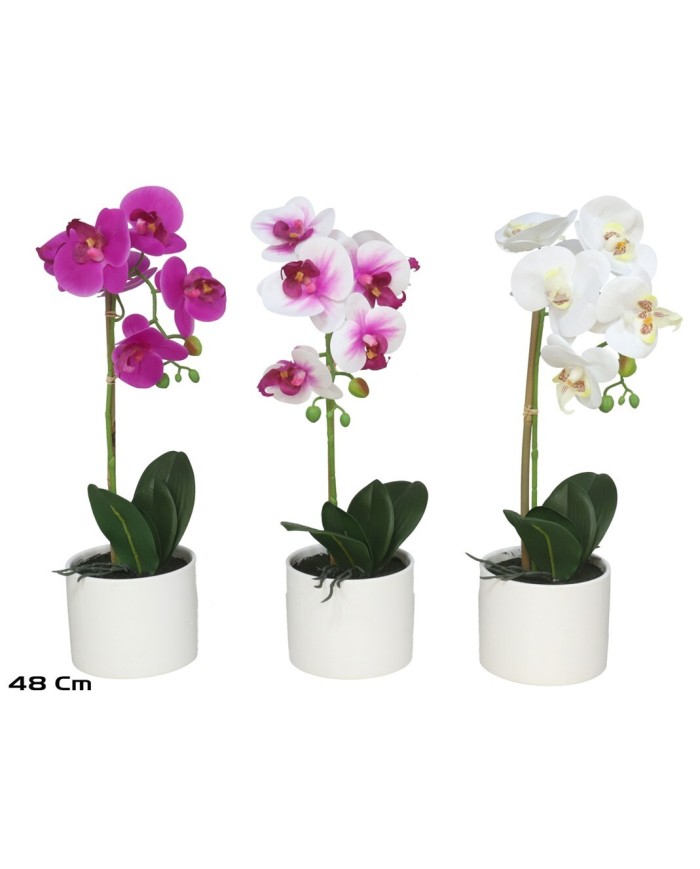 MACETA (B) ORQUIDEAS X 6  R/T-48 CM (S)