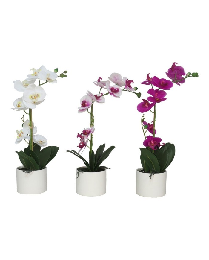 MACETA (B) ORQUIDEAS X 9 R/T-54 CM (S)