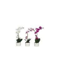 MACETA (B) ORQUIDEAS X 9 R/T-54 CM (S)