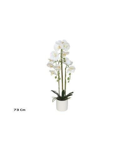 MACETA (B) ORQUIDEAS X 14 R/T-73 CM (BL)