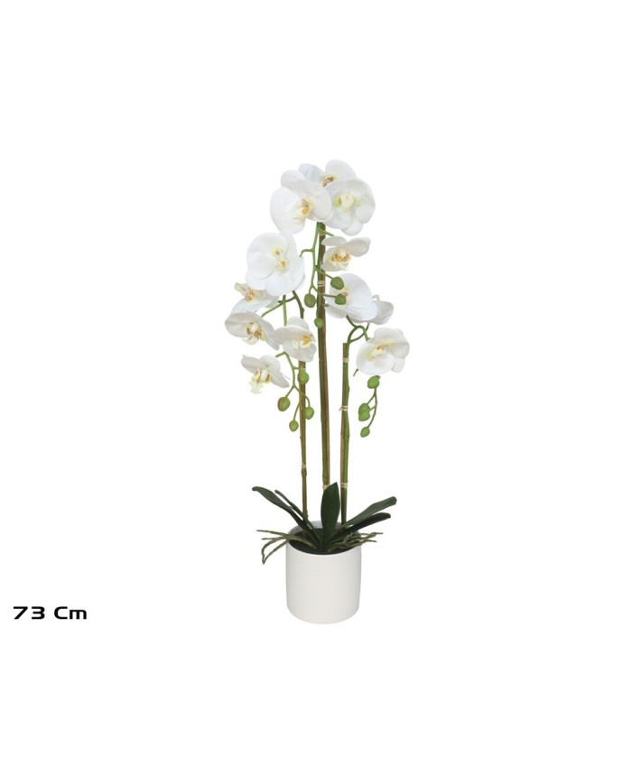 MACETA (B) ORQUIDEAS X 14 R/T-73 CM (BL)