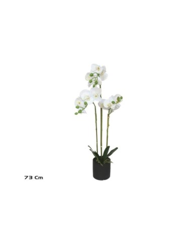 MACETA (N) ORQUIDEAS X 14 R/T-73 CM (BL)