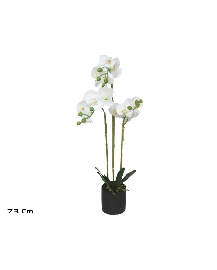MACETA (N) ORQUIDEAS X 14 R/T-73 CM (BL)