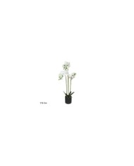 MACETA CEMENTO CACTUS 14-16 CM (SURT)
