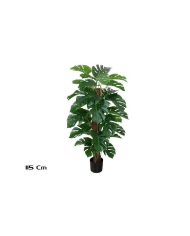 PLANTA MONSTERA X 33 T/ COCO 115 CM