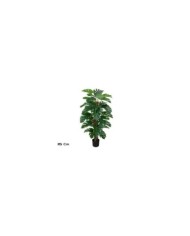 PLANTA MONSTERA X 48 T/ COCO 152 CM