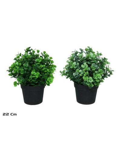 MACETA EUCALIPTO - 22 CM (S)