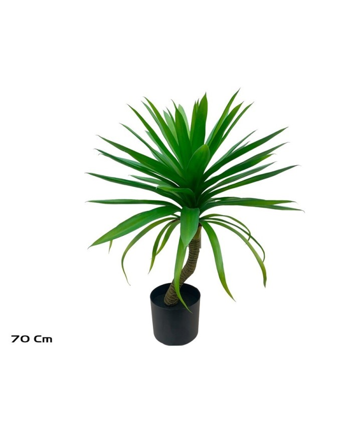 PLANTA YUCCA - 70 CM
