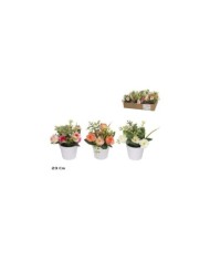 MACETA CAPULLOS-MARGARITAS - 23 CM (S)