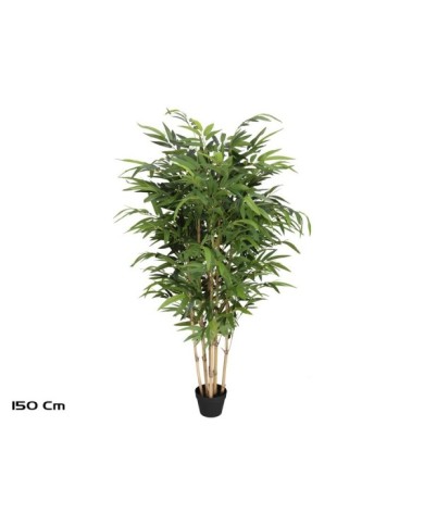 ARBOL BAMBU T/N BIG LVS X 6 - 150 CM