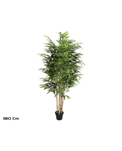 ARBOL BAMBU T/N BIG LVS X 6 - 180 CM