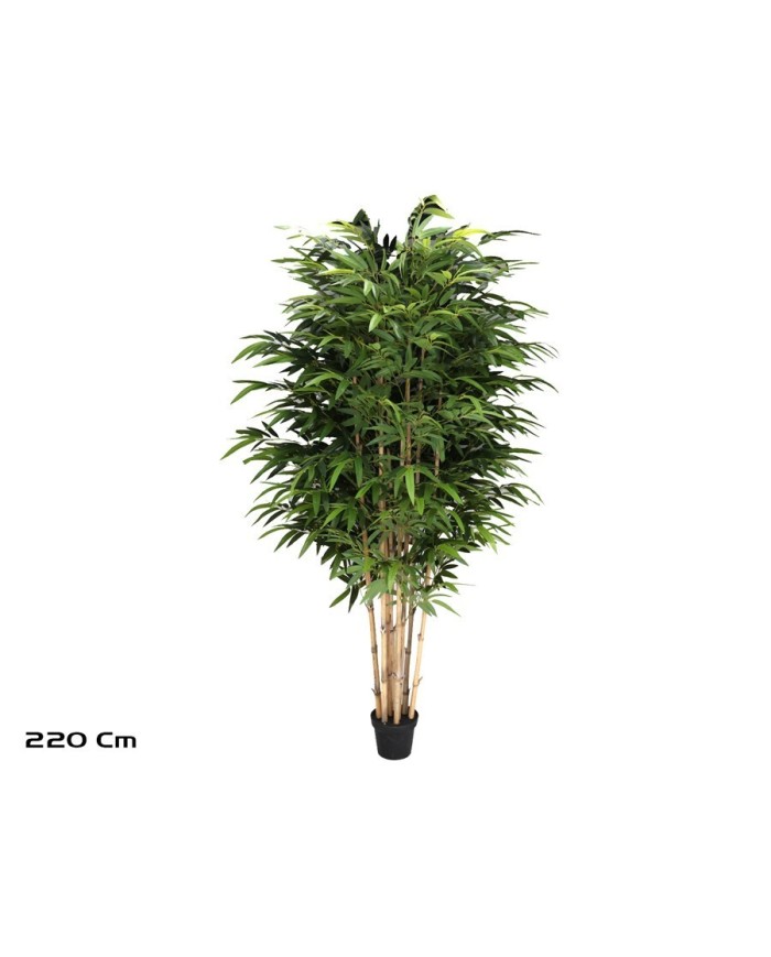 ARBOL BAMBU T/N BIG LVS X 8 - 220 CM